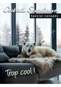 Prospectus Cocktail Scandinave Nîmes : Spécial canapés 2025