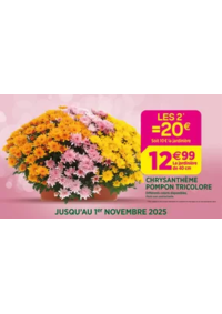 Prospectus Delbard Ecommoy : Célébrons la Toussaint ensemble !