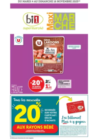 Prospectus bi1 PIERRE DE BRESSE : Catalogue Bi1